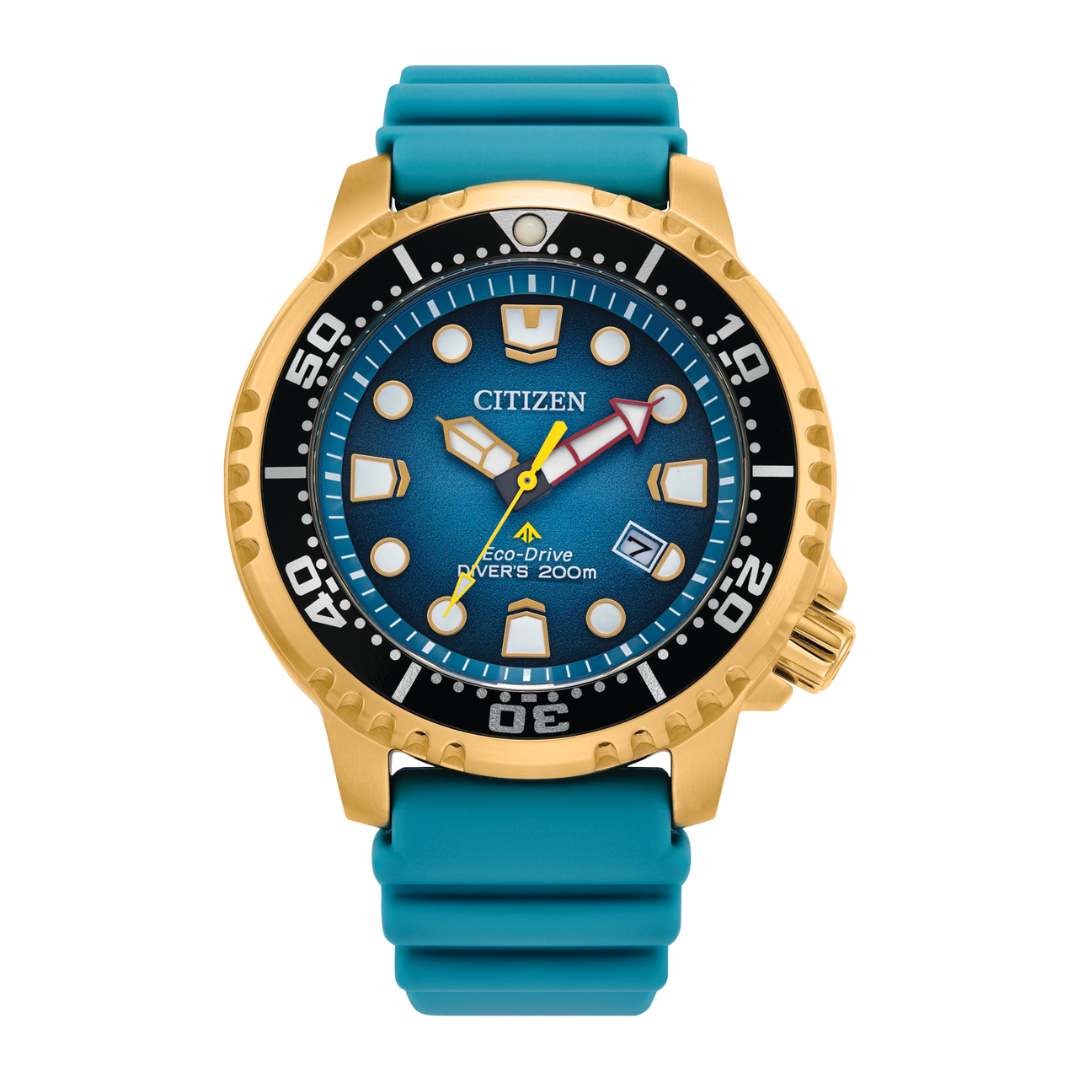 Men's citizen eco drive dive watches clearance