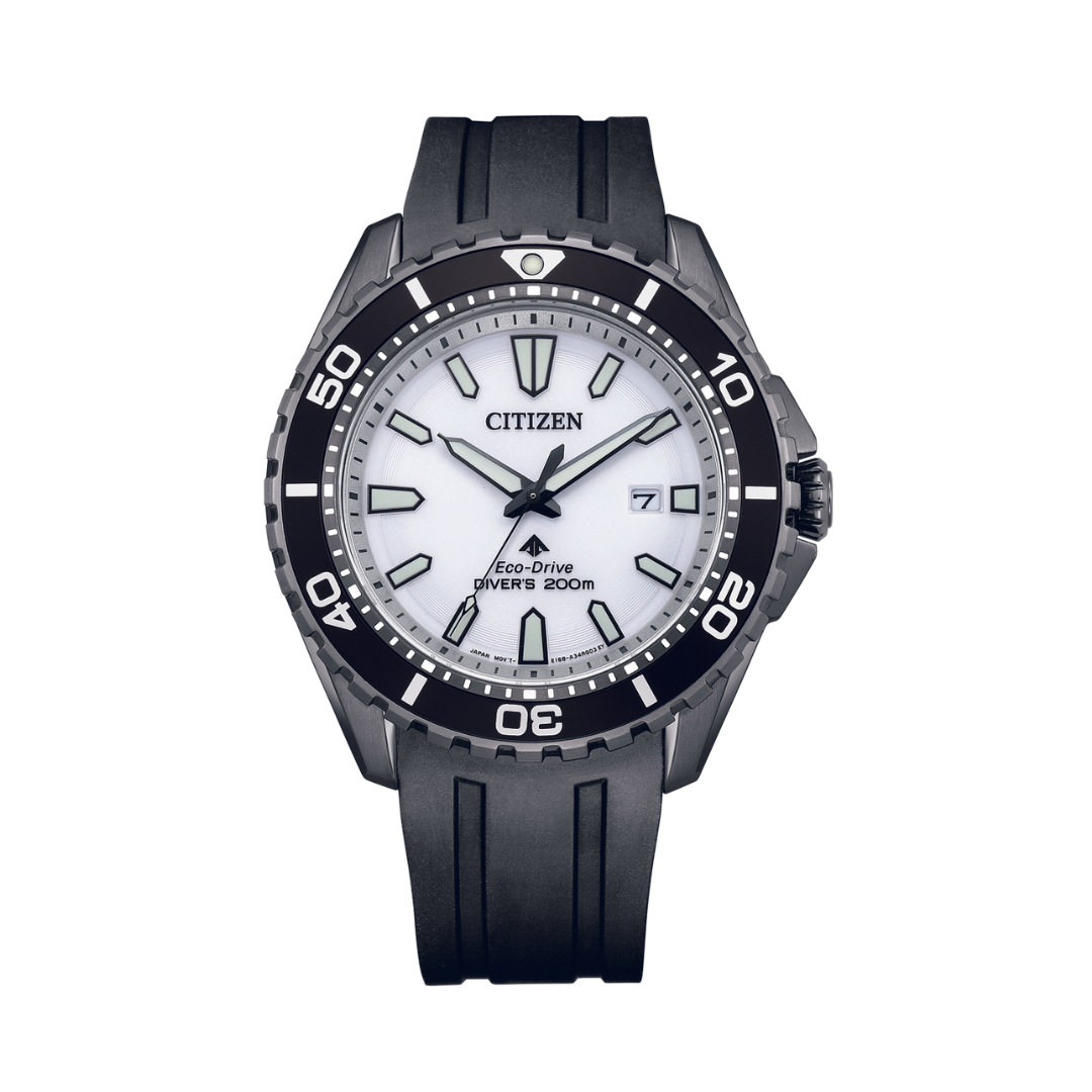 Promaster professional diver men's top watch