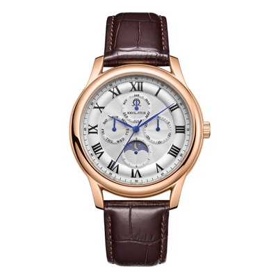 Solvil et Titus Classicist W06-03322-003 silver white dial 41mm multi-function brown leather men's watch
