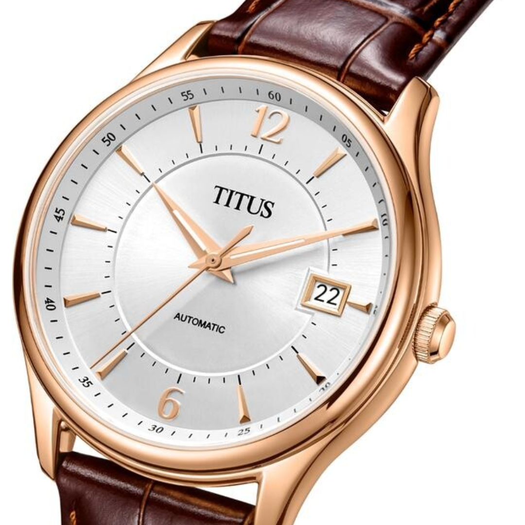 Solvil et titus sapphire watch hotsell